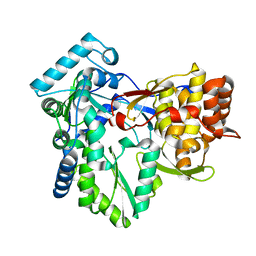 BU of 4adp by Molmil