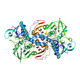 BU of 4adw by Molmil