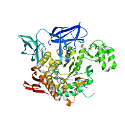 BU of 4aef by Molmil