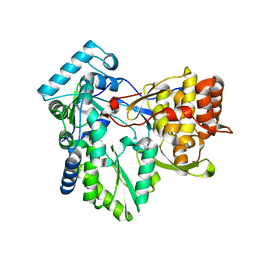 BU of 4aex by Molmil