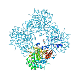 BU of 4af0 by Molmil