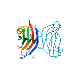 BU of 4afm by Molmil