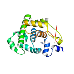 BU of 4aia by Molmil