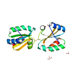 BU of 4aj6 by Molmil