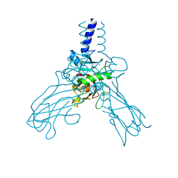 BU of 4ak3 by Molmil