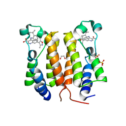 BU of 4akn by Molmil