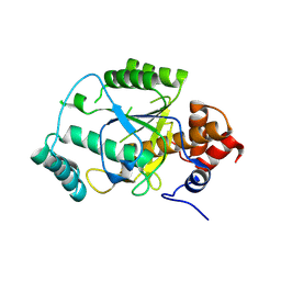 BU of 4aks by Molmil