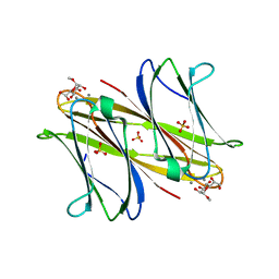 BU of 4aoc by Molmil