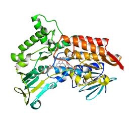 BU of 4aox by Molmil