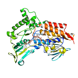 BU of 4ap1 by Molmil