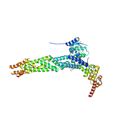 BU of 4ap2 by Molmil