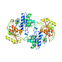 BU of 4ap5 by Molmil