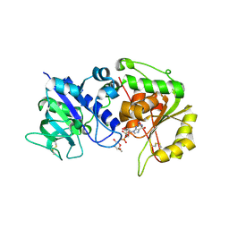 BU of 4ap6 by Molmil