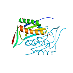 BU of 4ap8 by Molmil