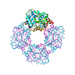 BU of 4ap9 by Molmil