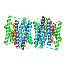 BU of 4aps by Molmil