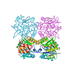 AU of 4as6 by Molmil