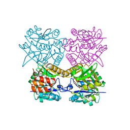 AU of 4asp by Molmil