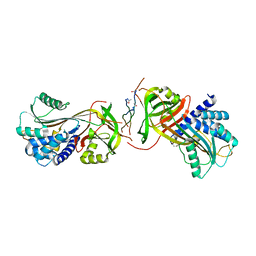 AU of 4awr by Molmil