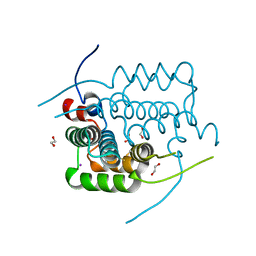 BU of 4ax2 by Molmil