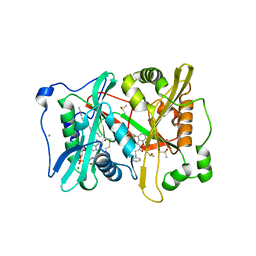 BU of 4b12 by Molmil