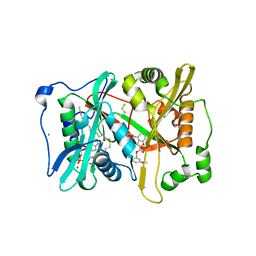 BU of 4b14 by Molmil