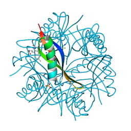 BU of 4b2h by Molmil