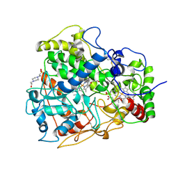 BU of 4b2n by Molmil