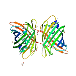 BU of 4b30 by Molmil