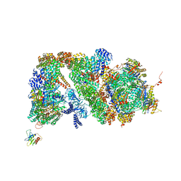 AU of 4b4t by Molmil