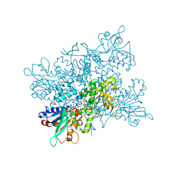 BU of 4b65 by Molmil