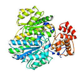 BU of 4bba by Molmil