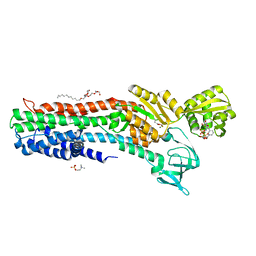Search by PDB author - Protein Data Bank Japan