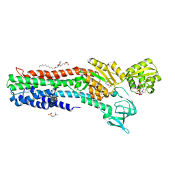 Search by PDB author - Protein Data Bank Japan