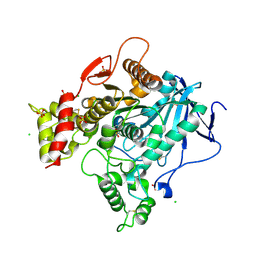 BU of 4bc1 by Molmil