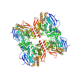 AU of 4bc1 by Molmil