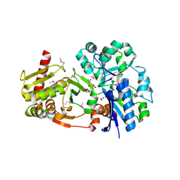 BU of 4bc4 by Molmil