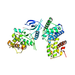 BU of 4bcj by Molmil