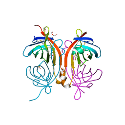 BU of 4bcs by Molmil