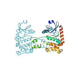 BU of 4bdk by Molmil