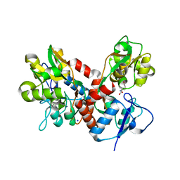 BU of 4bdl by Molmil