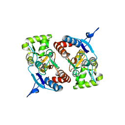 BU of 4bdm by Molmil