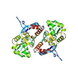 BU of 4bdn by Molmil