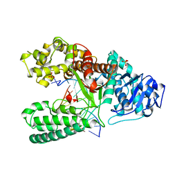 BU of 4bdp by Molmil