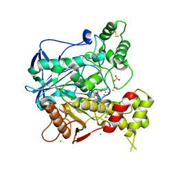 BU of 4bds by Molmil