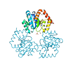 BU of 4bfc by Molmil