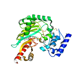 BU of 4bg4 by Molmil