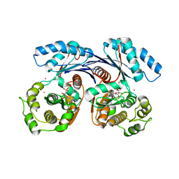 BU of 4bga by Molmil