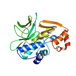 BU of 4bgf by Molmil