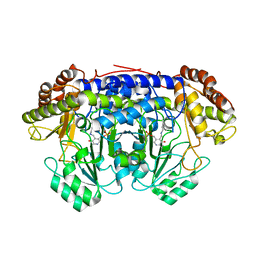 AU of 4bhe by Molmil